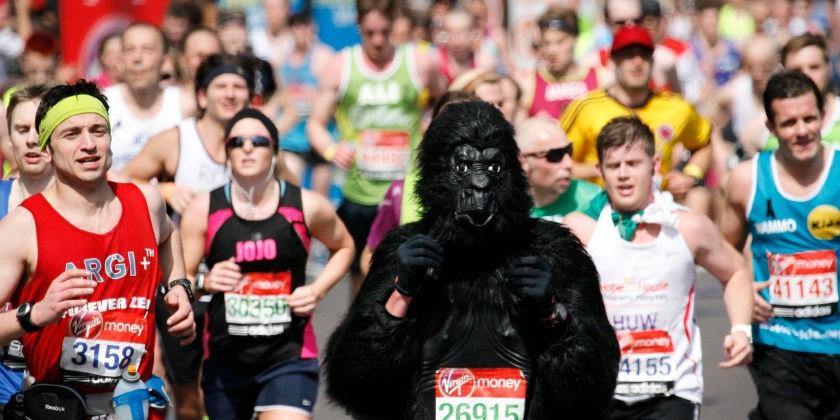 Scene from London Marathon showing runner in a Gorilla costume