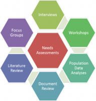 Hexagon labelled Needs Assessment surrounded by hexagons labelled Interviews, Workshops, Population analyses, Document review, Literature review, Focus group